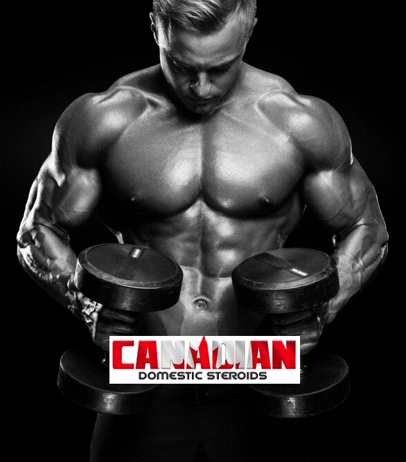 Category Buy Steroids Online Canada Canadian Domestic Steroids